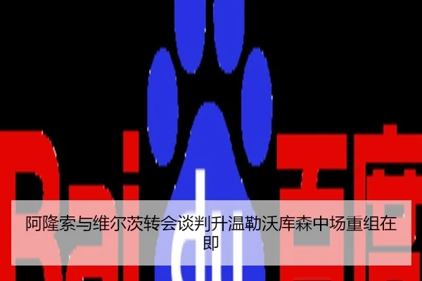 阿隆索与维尔茨转会谈判升温勒沃库森中场重组在即